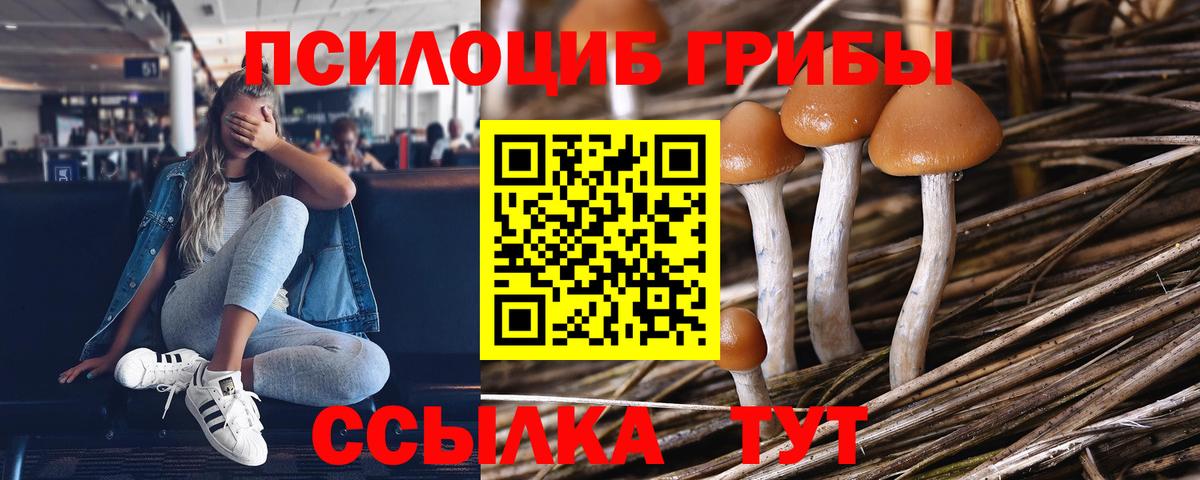 Псилоцибиновые грибы ЛСД  купить наркотики цена  Петрозаводск  Галлюциногенные грибы мицелий  Вход с VPN 